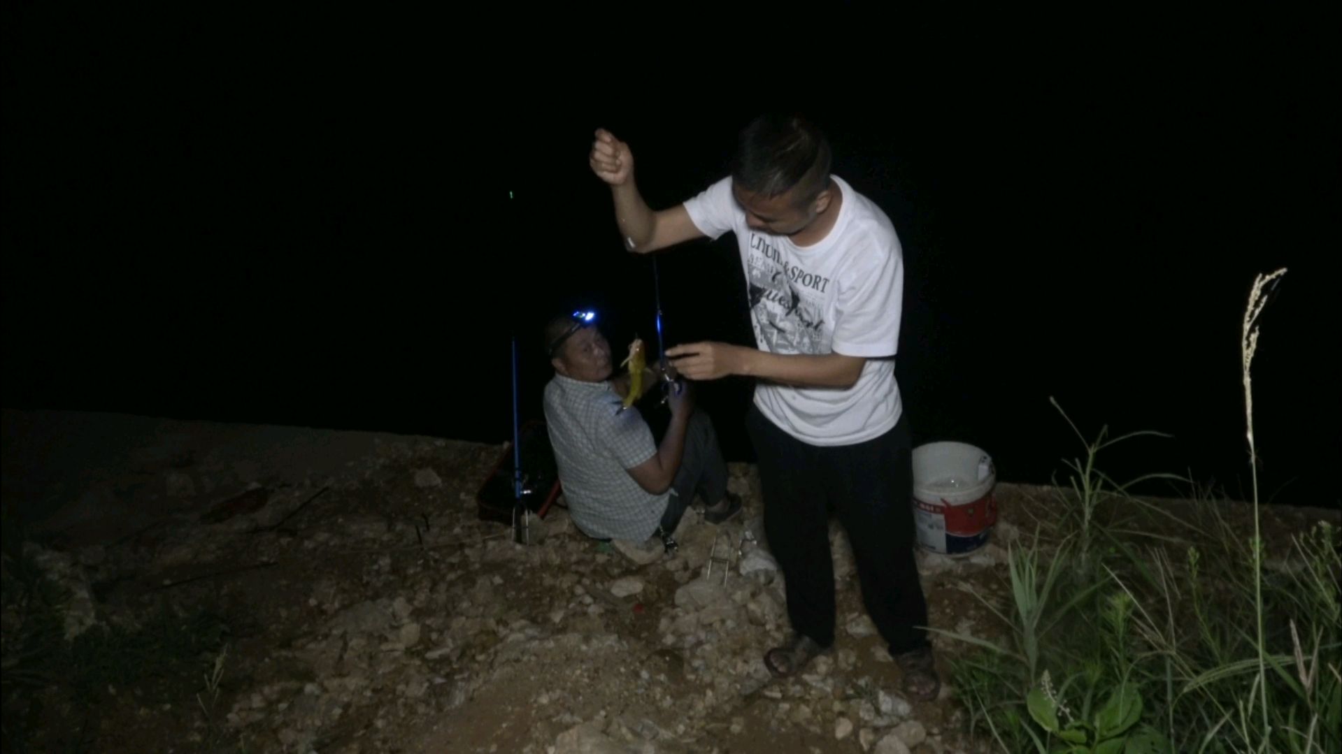 夜钓黄鸭叫,这招才够狠,渔获狂增几倍,钓一次爽一次