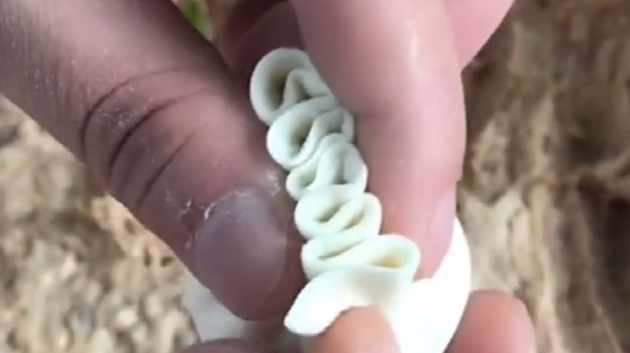 慢动作教你包饺子,方法太独特,两手一捏就搞定!