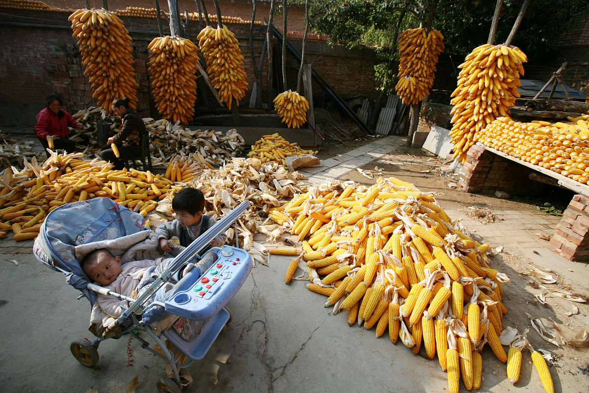 肇庆公路技工学校2022年需要满足什么招生条件怎么样