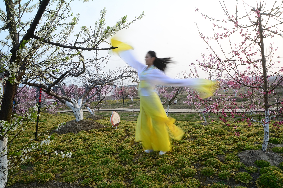 陕西利沣达建筑科技公司会计制度与政策建设现状分析