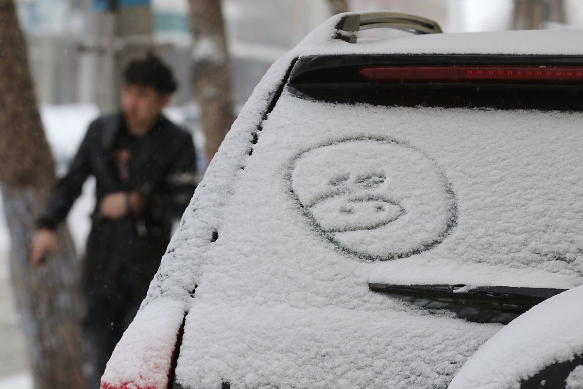 2019年3月21日,哈尔滨市气象台升级发布暴雪橙色预警信号,雪花伴随4-5