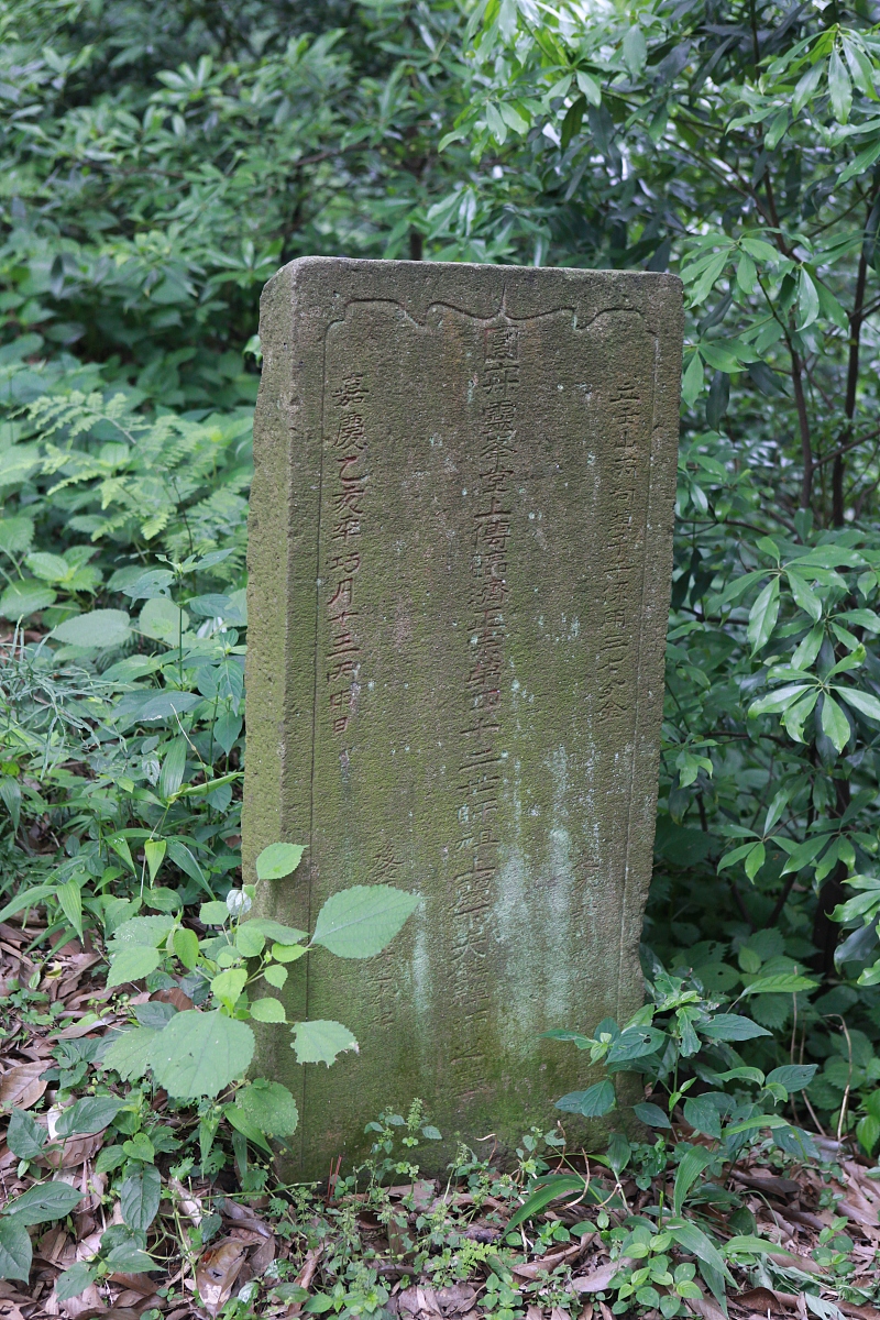2012年06月05日,,灵峰