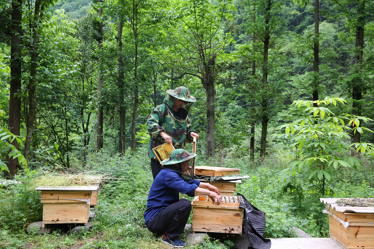 请帮我写一首赞美家乡的诗？