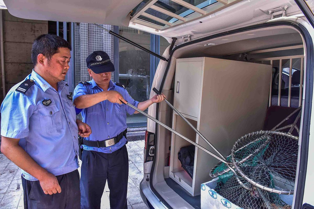 船舶东西被盗怎么处理