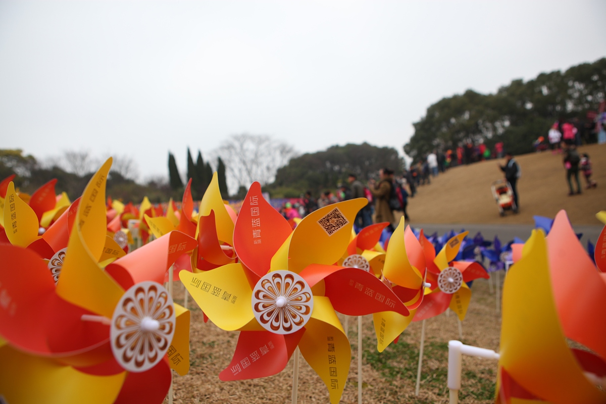 2015年3月15日,上海,为了配合郁金香花展,主办方在公园里一个小山坡上