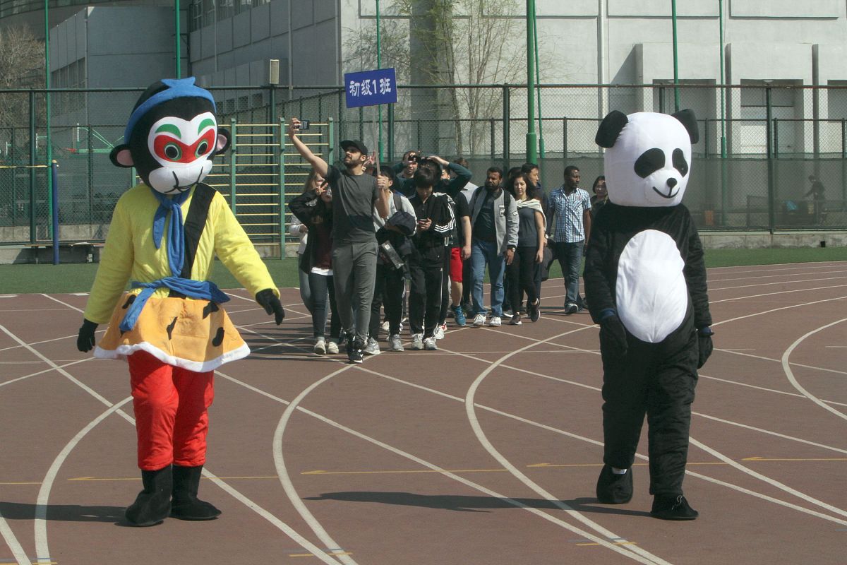 日本大学报名指南：步骤详解及申请流程