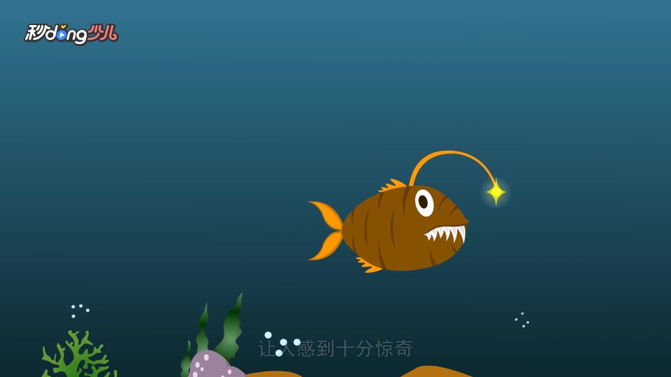 灯笼鱼为什么能够发光?