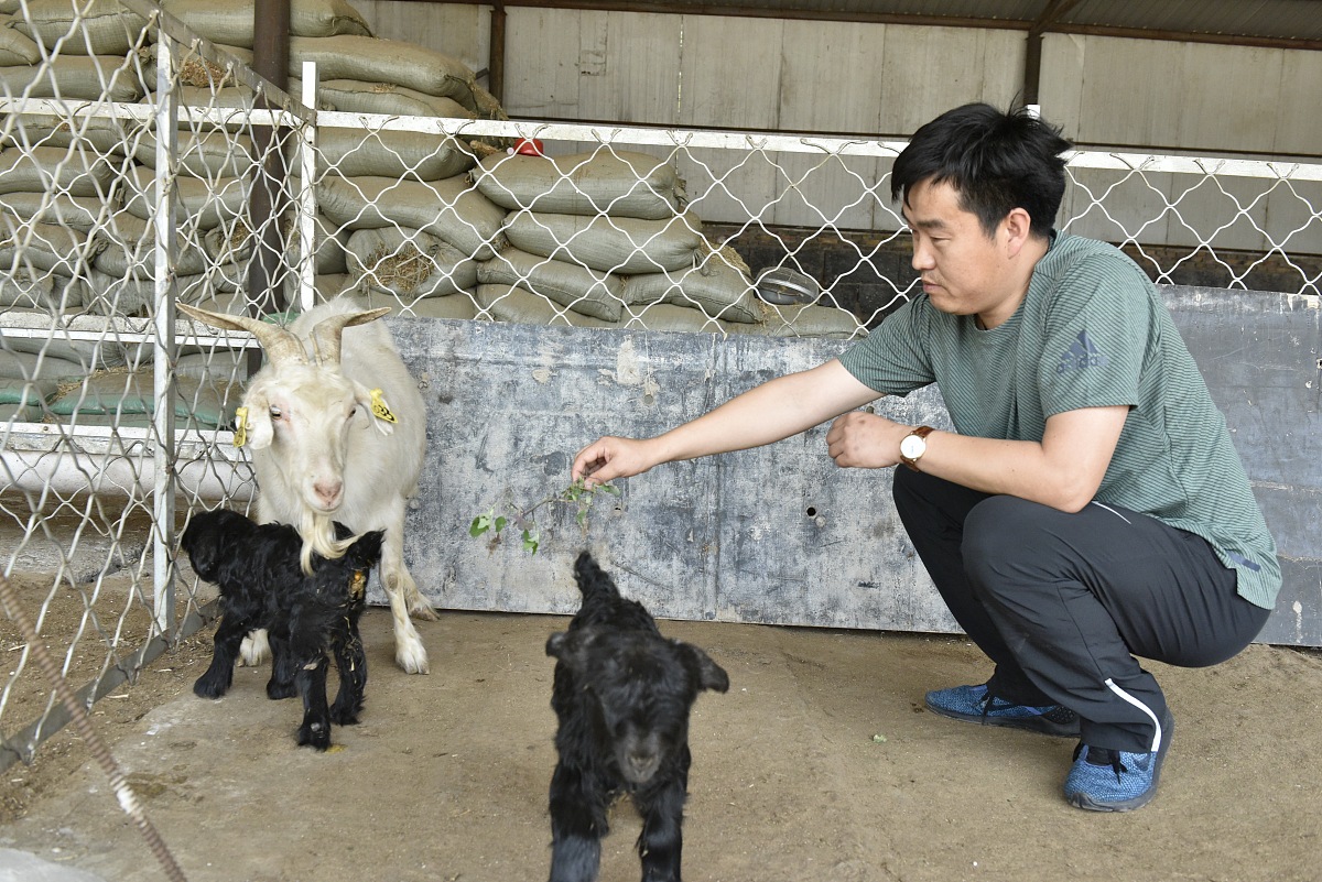 山西省畜牧兽医学校中专专业：畜牧、动物科学与兽医、动物医学技术等