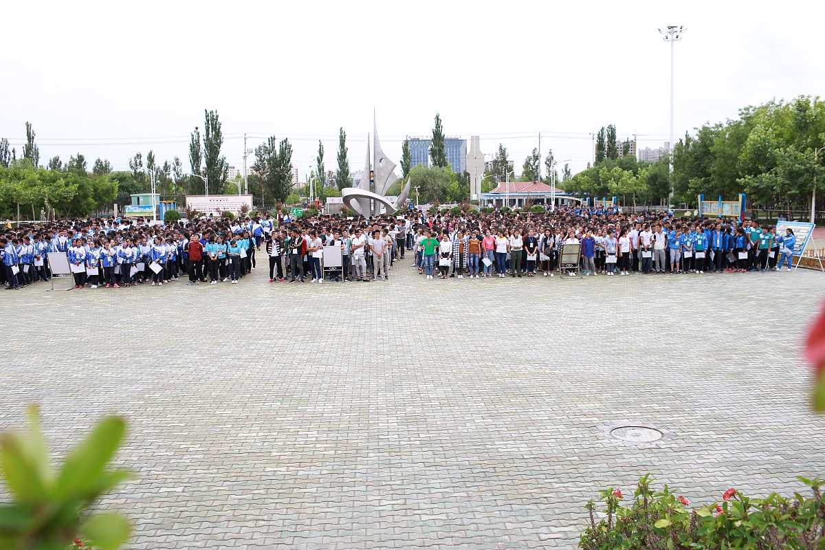 阜南县柴集高级职业中学汽车运用与维修专业 - 培养汽车人才的摇篮