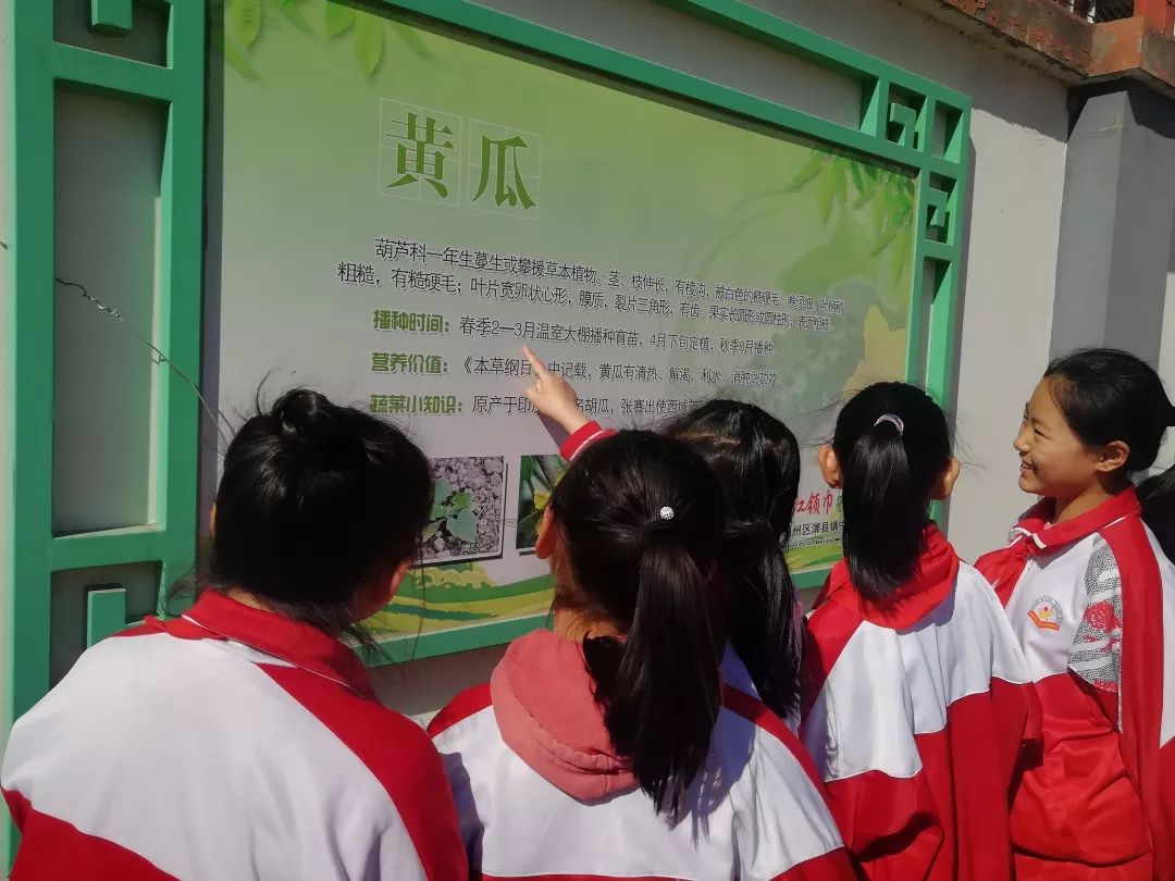 漷县镇中心小学红领巾实践基地体验农耕播种