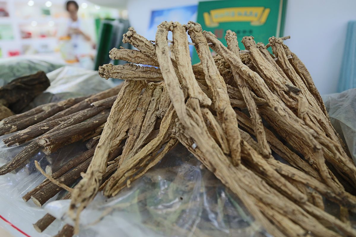 2022年江西中医药大学应用化学专业招生