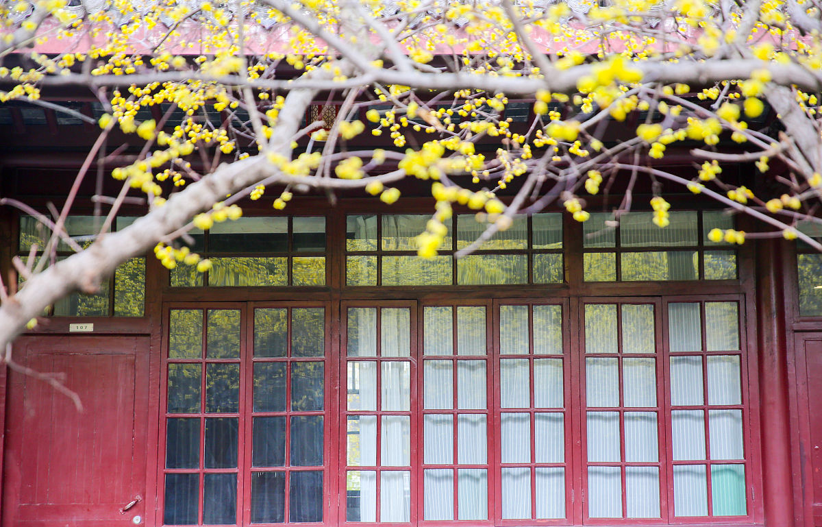 黑龙江护理高等专科学校口腔医学专业怎么样