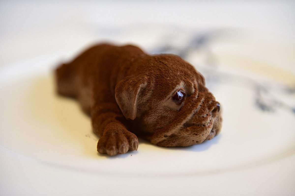 网恋的小奶狗太粘人一分钟没回消息就疯狂表情包轰炸。会上我偷偷摸摸回消息安抚。而消息发出那一刻坐在一边旁听的总公司大佬的手机响起了特别关心提示音。1我疑心重你一分钟没回我消息我都怀疑你是不是凉透了。刚网恋一个星期的小奶狗如是说道。我噼里啪啦打字安抚手机键盘被我按得冒火。消息发送成功会议室后面来视察旁听的总公司老板的手机响起特别关心提示音。包括我在内所有人齐刷刷往后看。只见我们那位年轻有为的总裁不急不