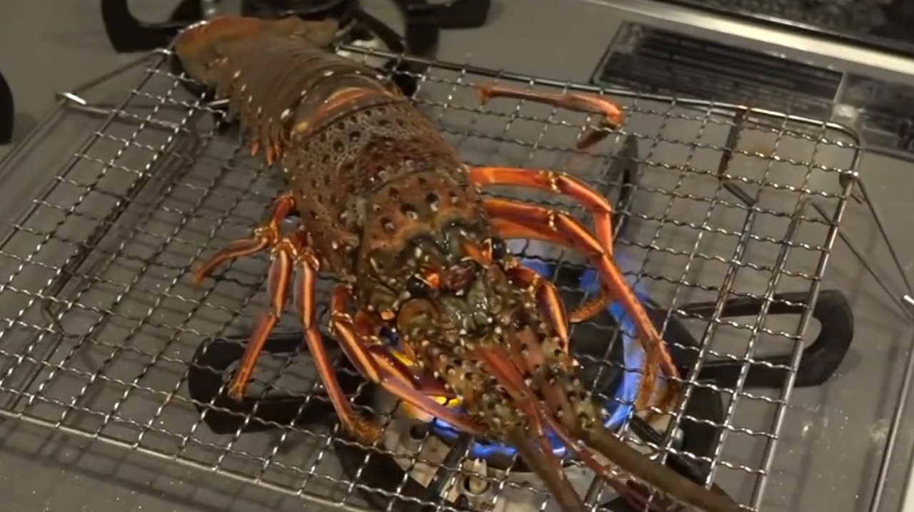 小伙花600元买了只“活龙虾”,直接放在火上烤,切开时:浪费!
