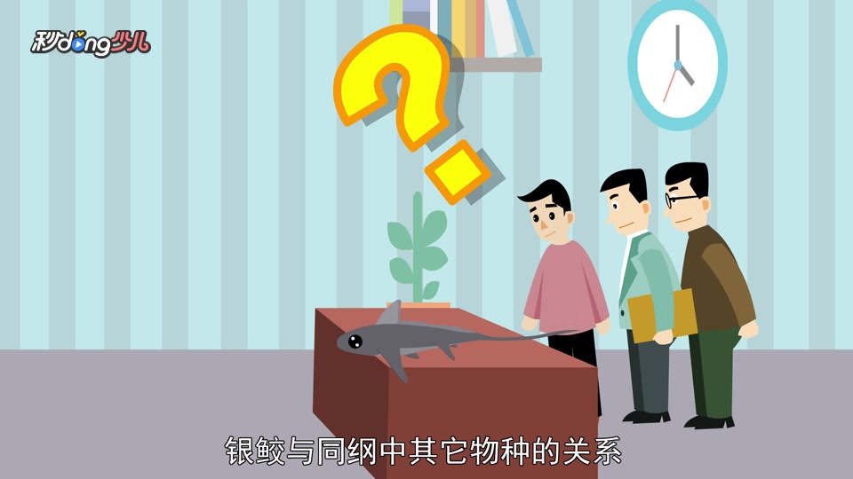 银鲛的祖先是鲨鱼?