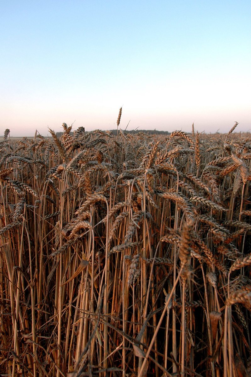 2020北京市农业广播电视学校招生简章