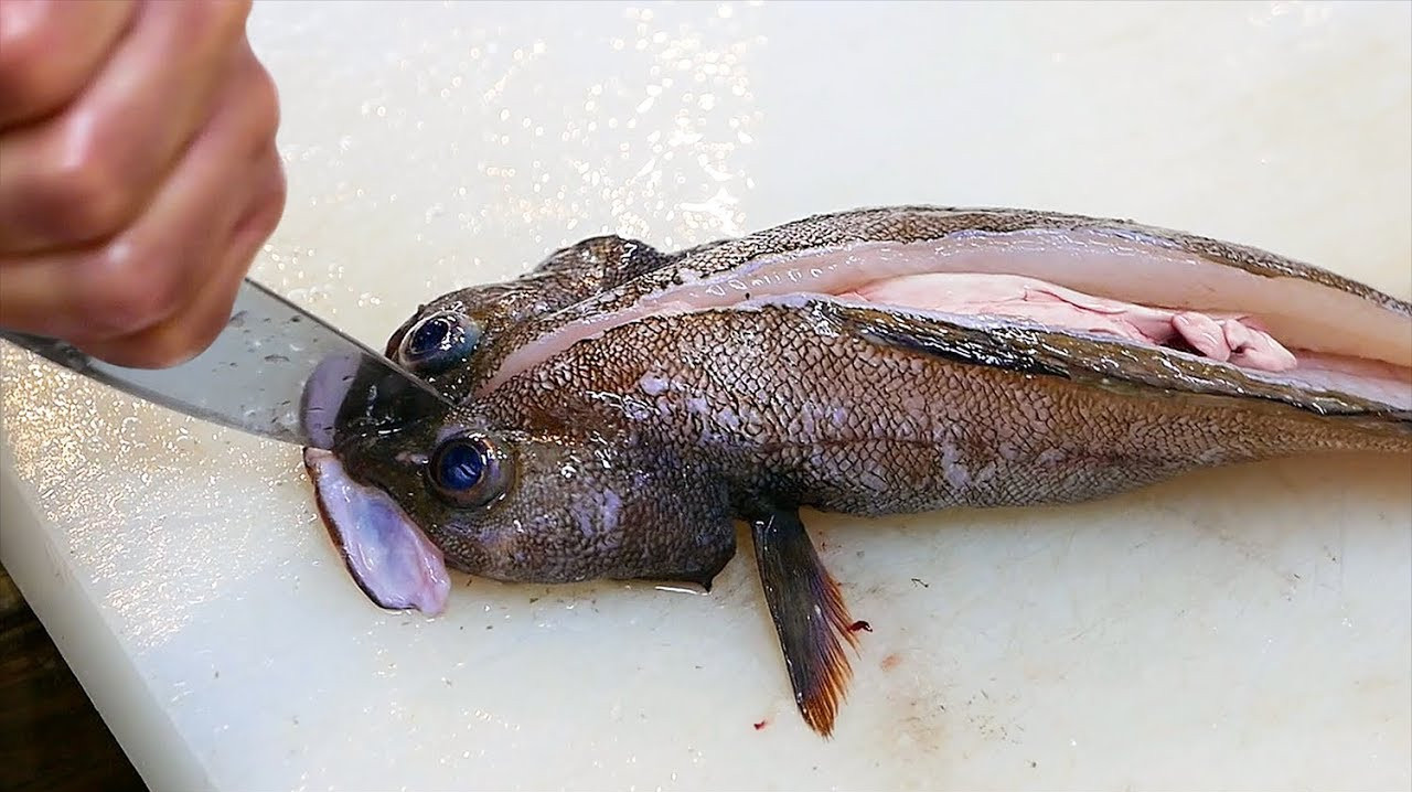 日本人爱吃鲈鱼,却不做成鱼生,一份600元也有人吃!