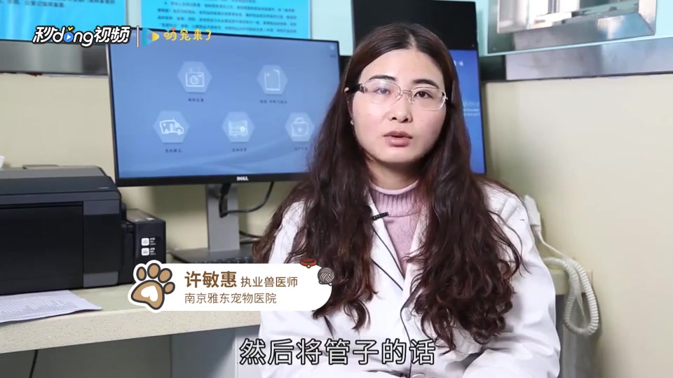 如何简单快速的清理鱼缸里鱼的粪便