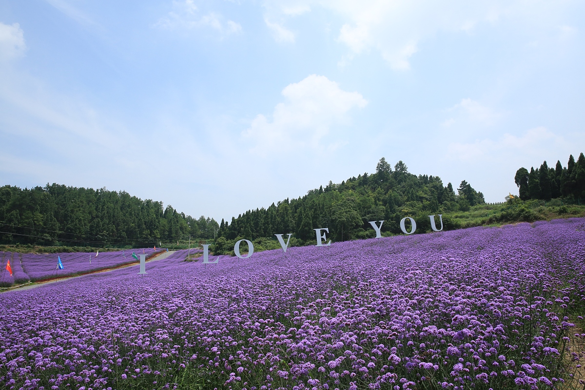 按照亩≈600-750各大约分配多少390 300 442 352 770 364 312 1345 1100 370 295 270 270