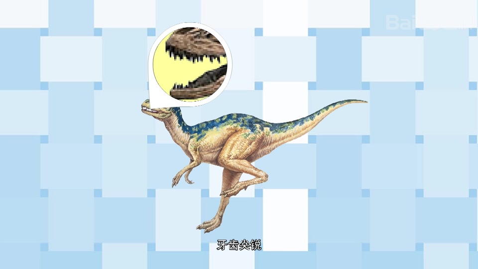 一分钟了解上游永川龙