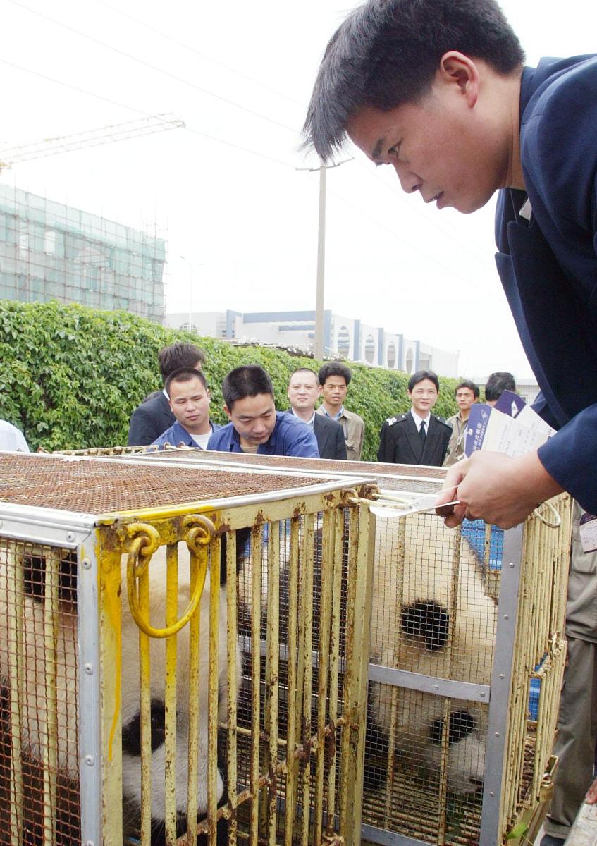 深圳飞成都的航班有哪些