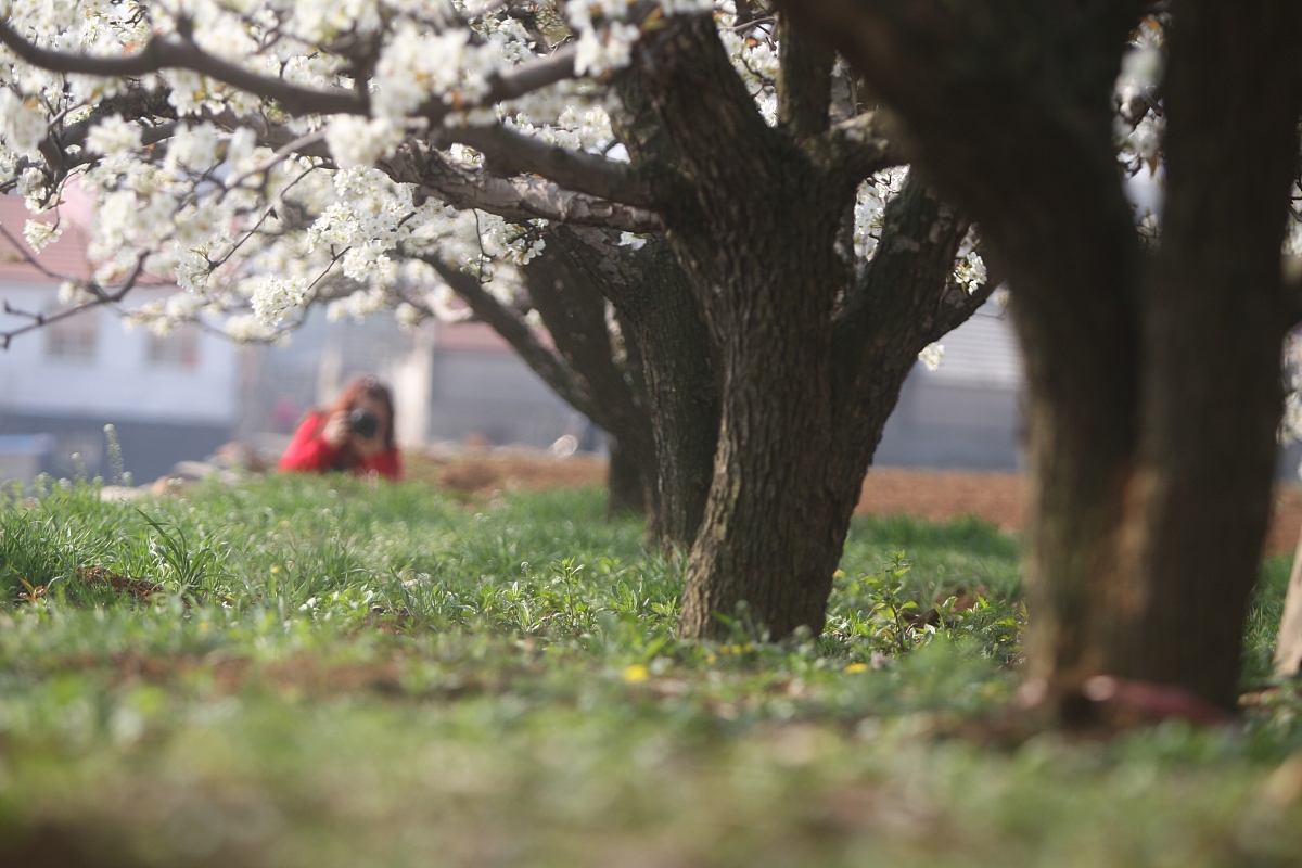 烟台福山区技工学校2023年新址搬迁 - 设施升级，未来可期