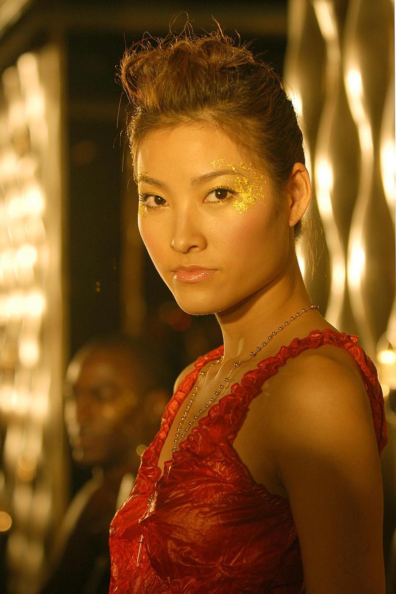 2003年12月18日,世界黄金协会k-gold时尚发布会在上海外滩中心举行,名