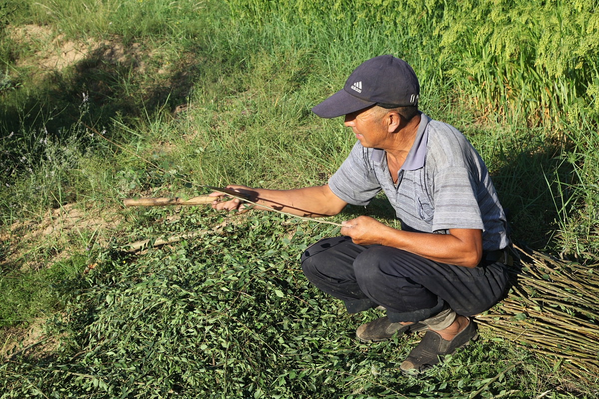 曲靖农业学校2022年招生简章：三年制普通中专，培养未来农业人才