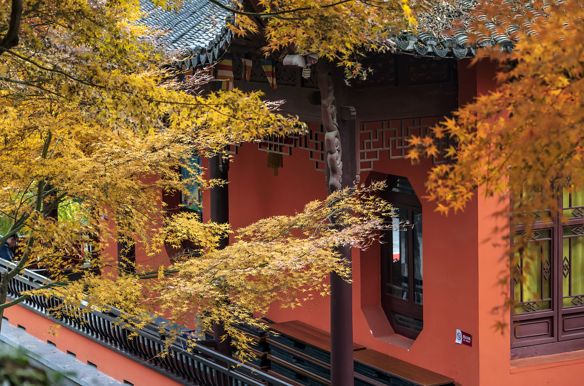 南京城建中等专业学校2020年招生简章