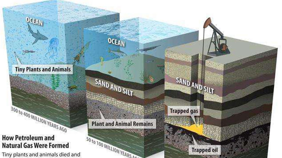 [图]地球上的石油，到底是怎么形成的？