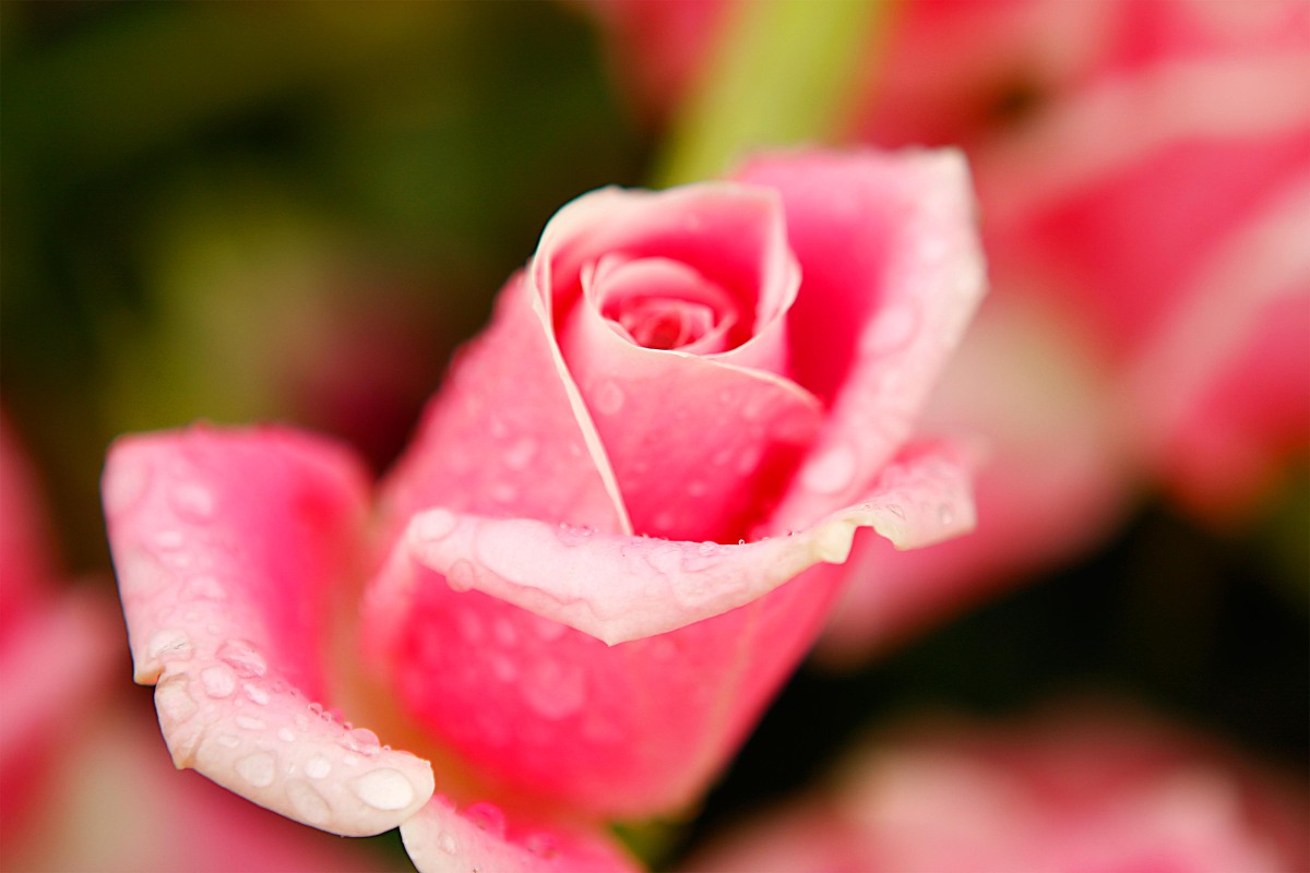 受力面积与压强关系：面积越大压强越小？