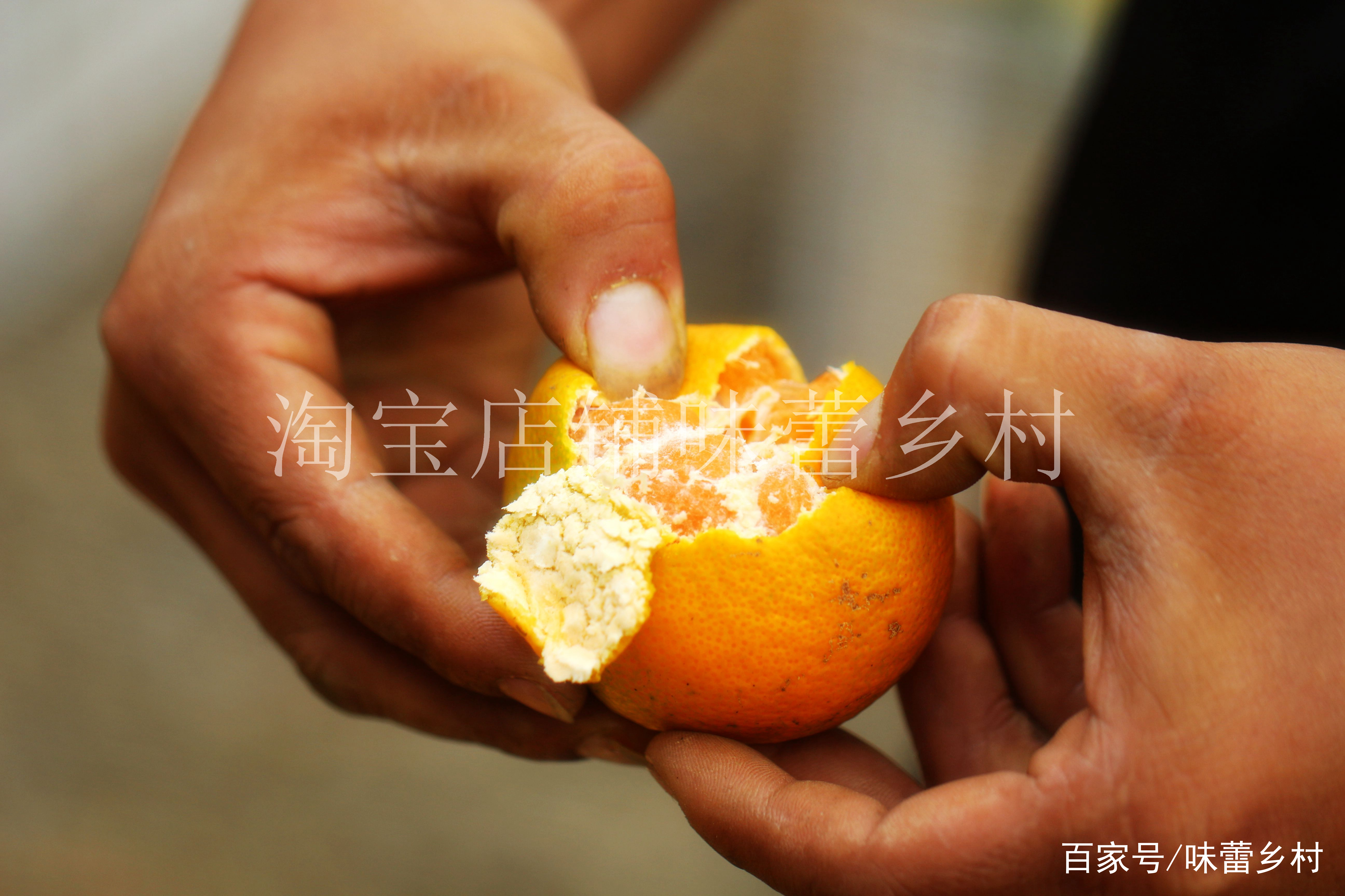 中国最好吃的橘子