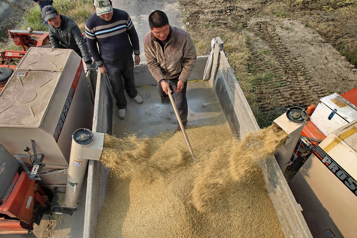 云南省曲靖农业2019年五年制招生报名咨询QQ