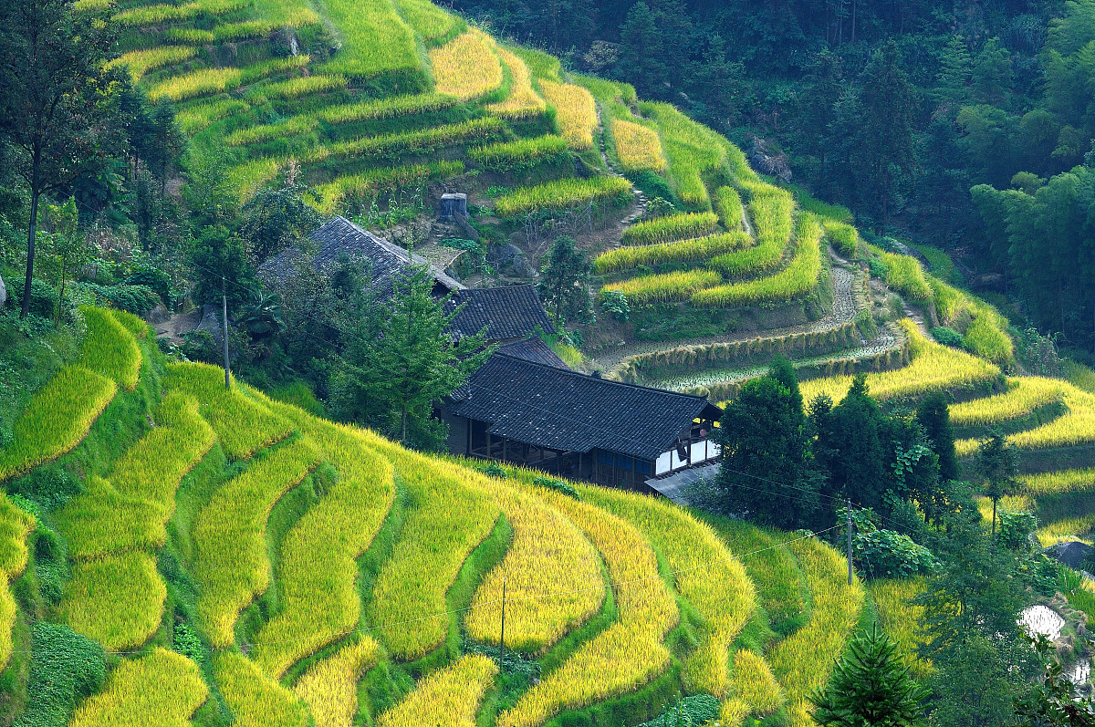新化美景：茶香梯田映苍穹，油溪桥村美如画