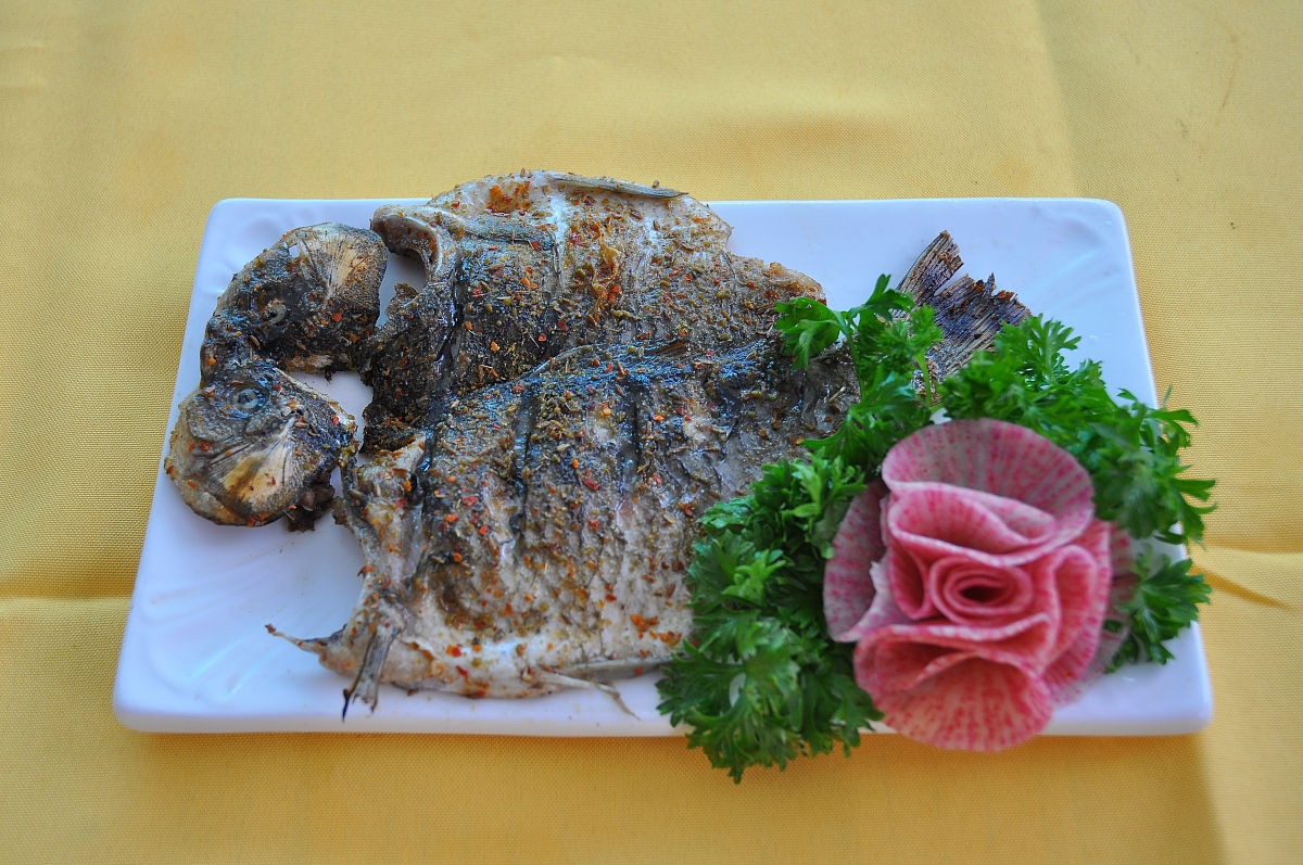 浙江育英职业技术学院食品营养与检测专业怎么样