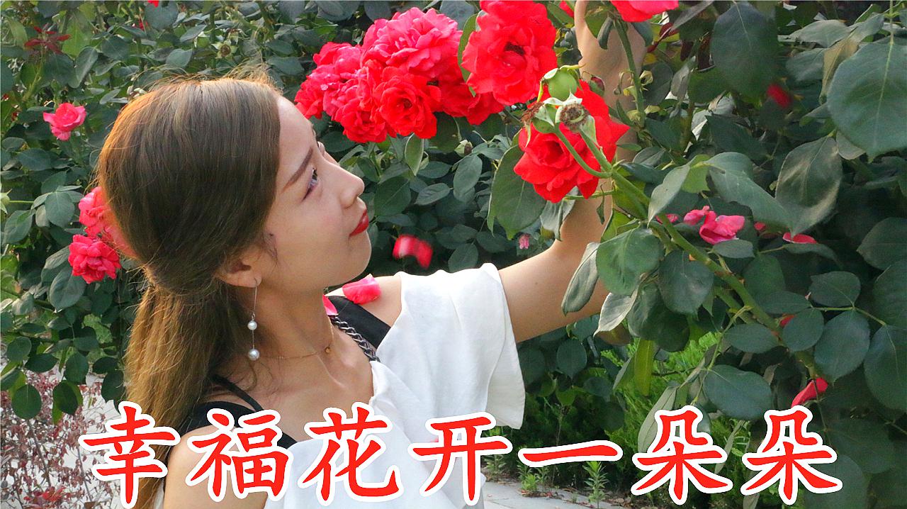 [图]一首《幸福花开一朵朵》唱得甜蜜幸福,旋律动听,好听不厌!