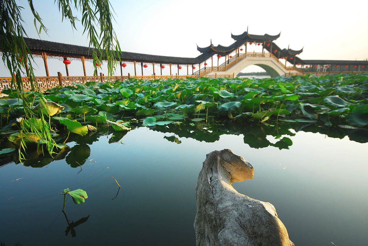 扬州旅游商贸学校2022年有哪些专业