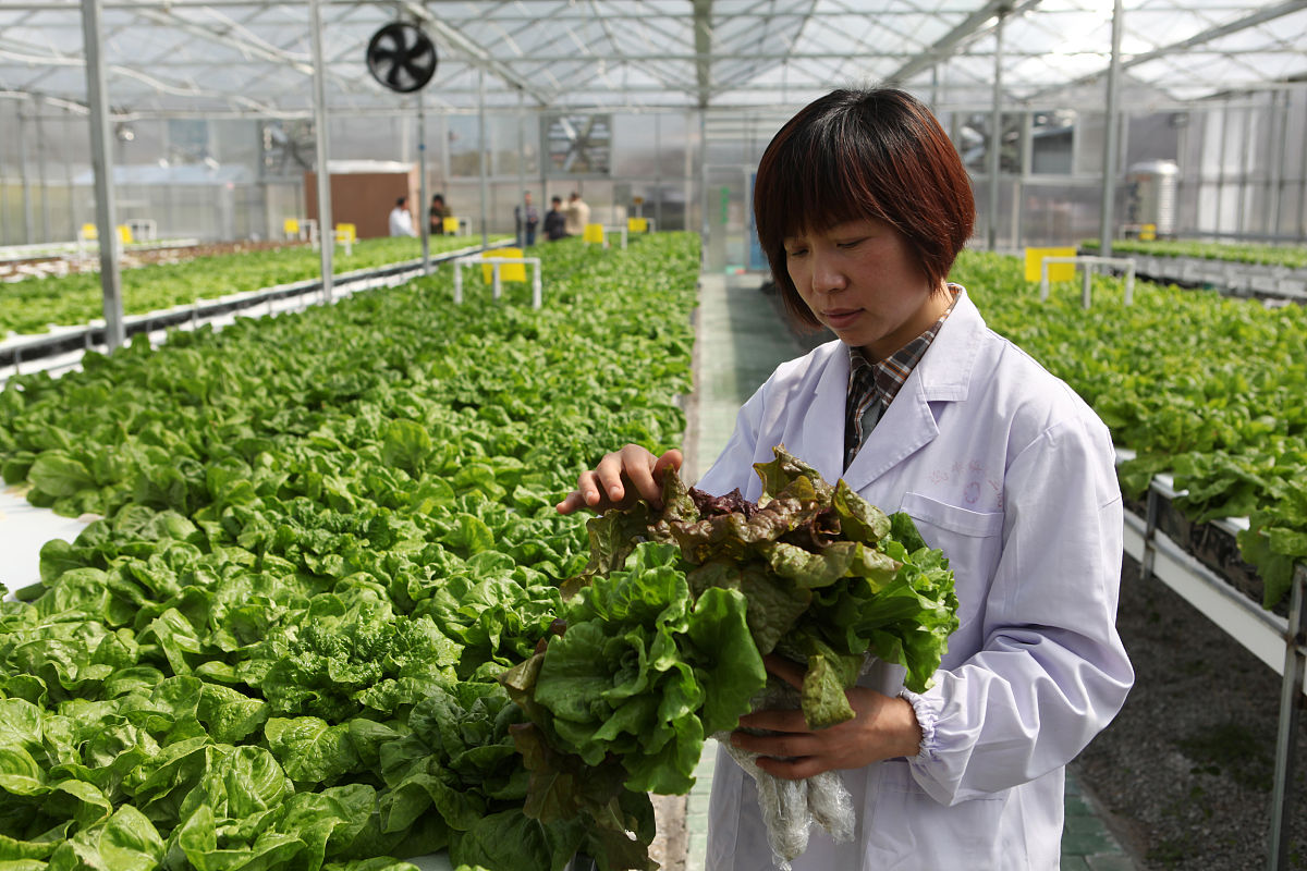 废物利用 写一篇300字小学作文