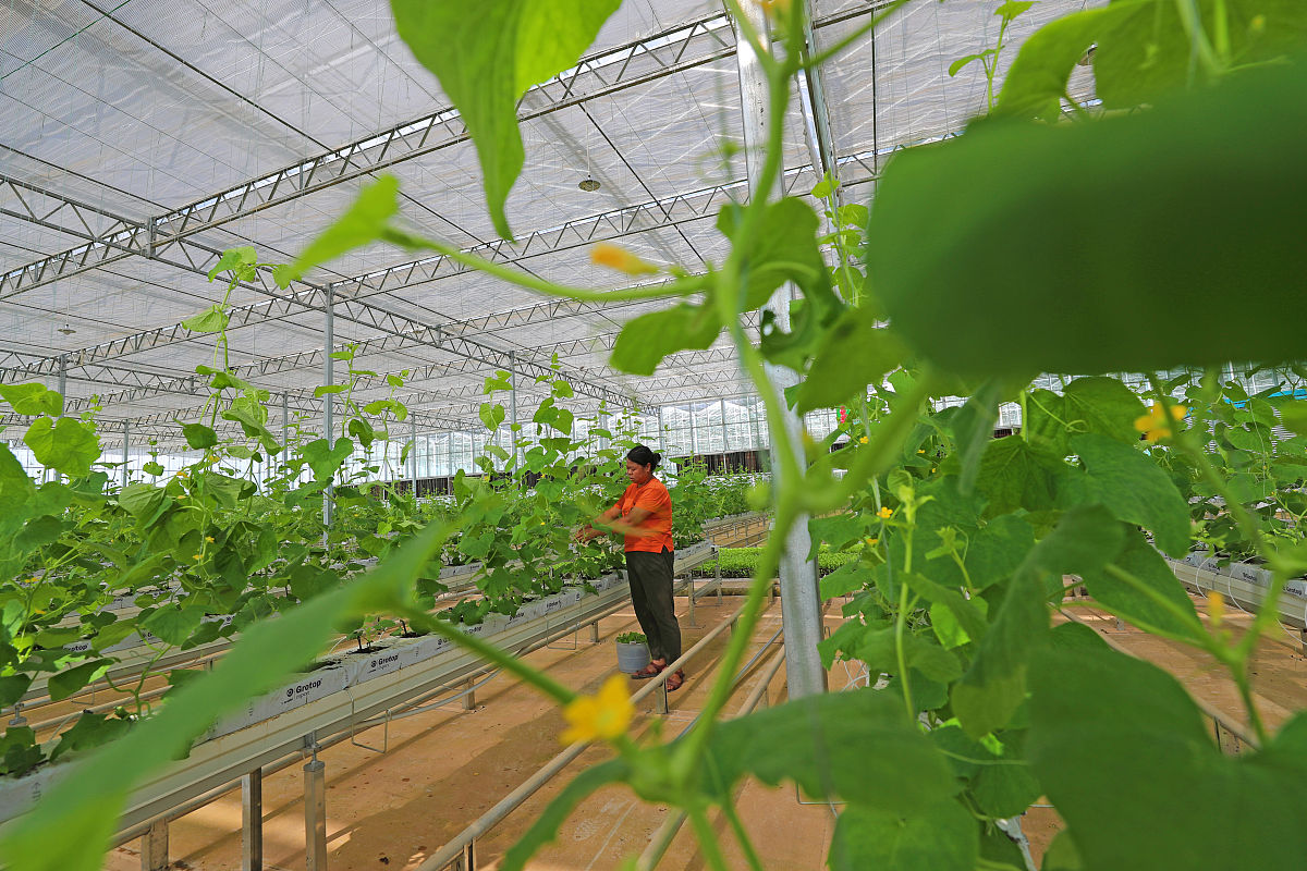 江西农业工程职业学院畜牧兽医专业怎么样？好学吗？