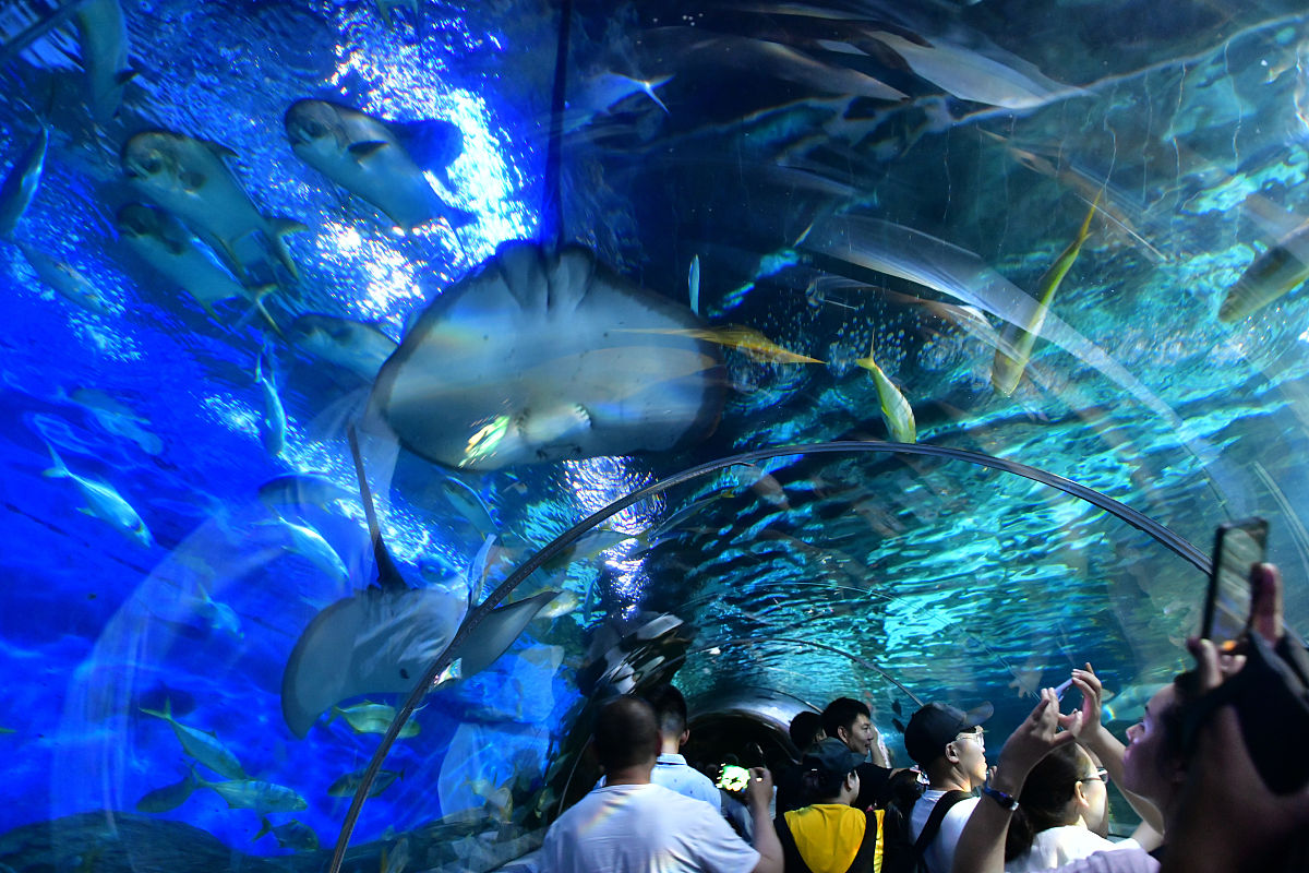 大连圣亚海洋世界介绍极地馆海洋馆导游词