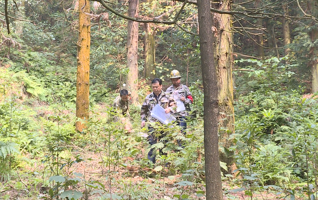 平江路保护规划编制阶段