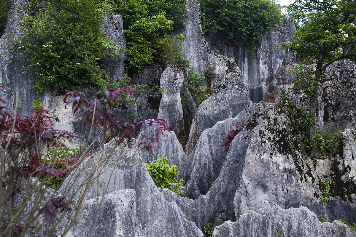 四川广安房建施工总承包二级资质新办及转让费用详解