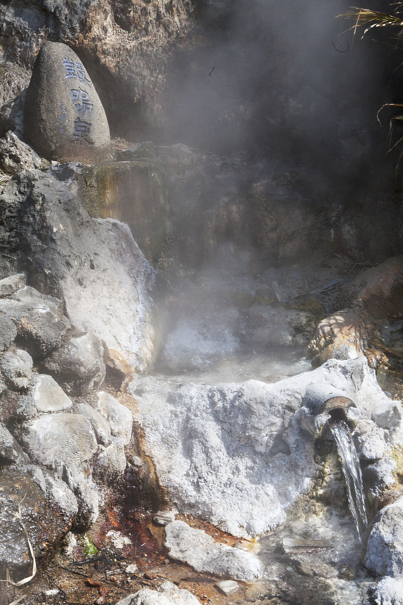 领克03+爱信8at承受的最大扭矩