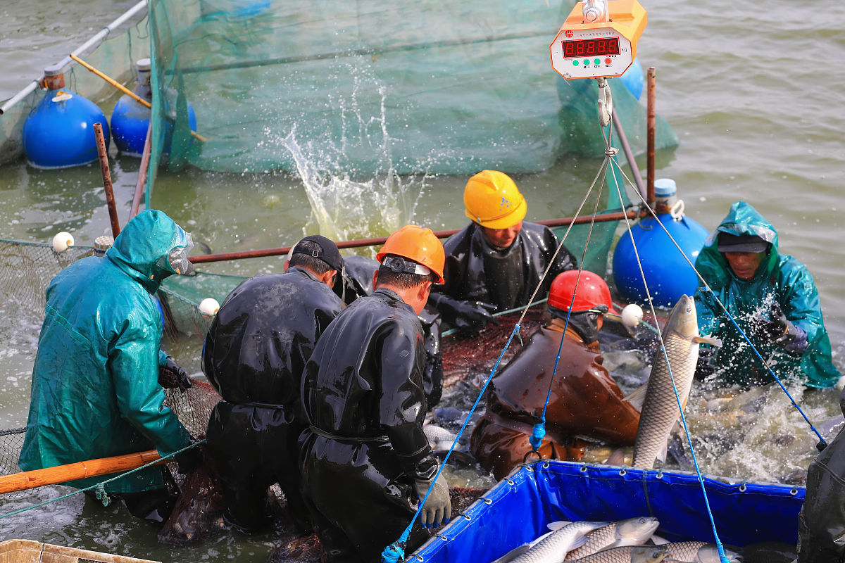 广西水产畜牧学校航海捕捞专业前景：就业方向、发展趋势分析