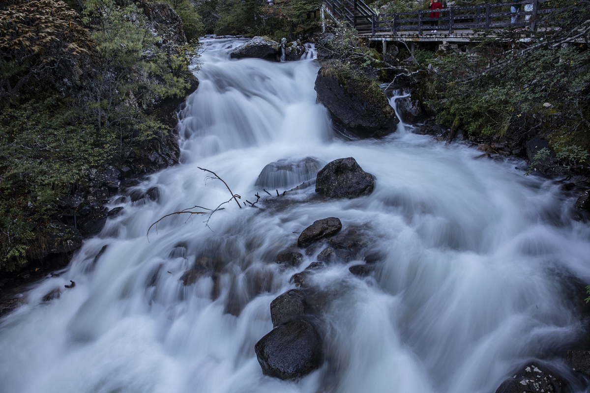 四川航天职业技术学院旅游服务与管理专业课程详解：包含哪些课程？