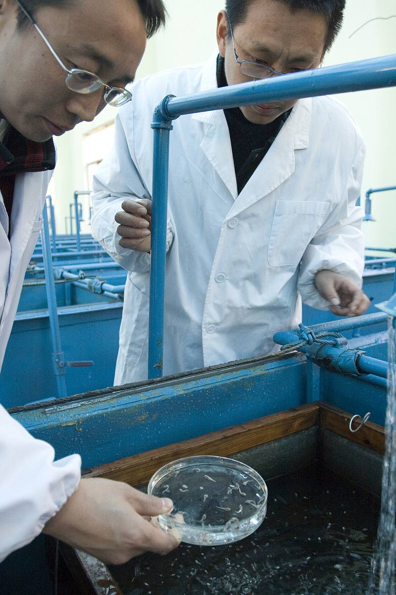 宜昌建筑工程技术学校2022年招生简章-培养未来建筑人才