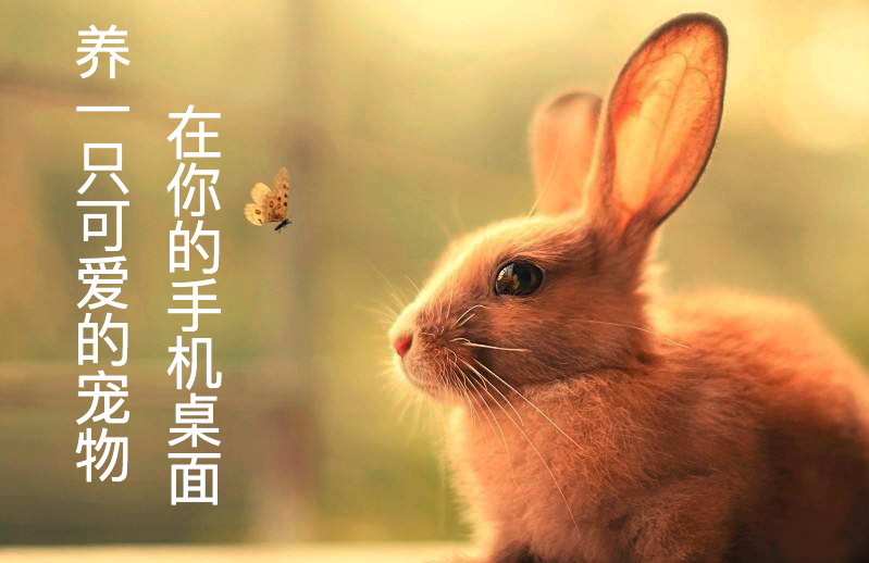 手机桌面竟然能养宠物?