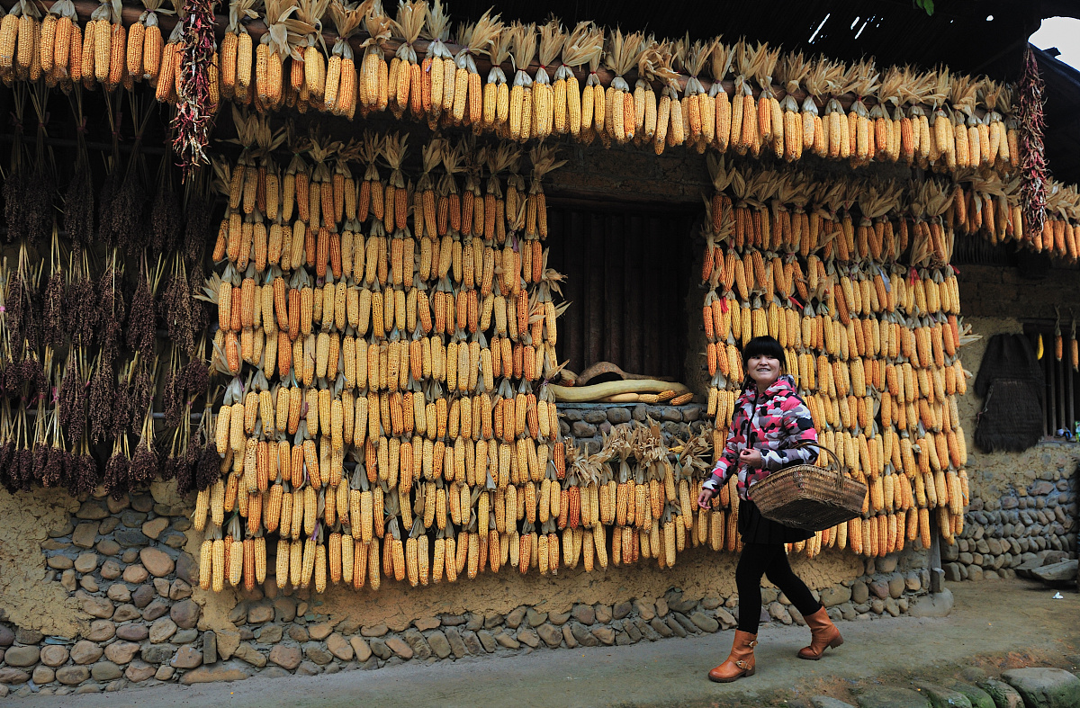 湖南民族职业师范学院有药剂专业吗？- 详细分析与建议