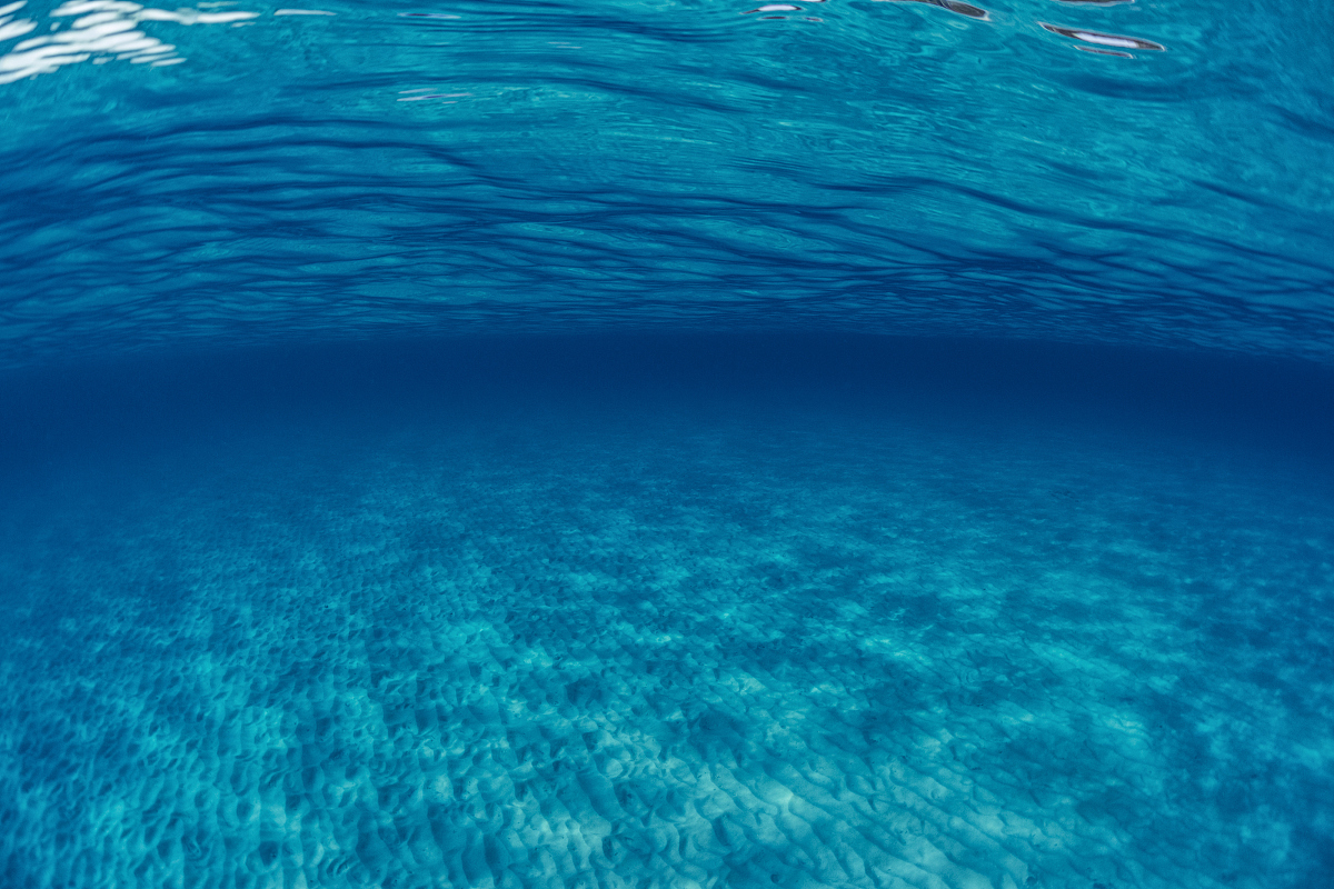 sea