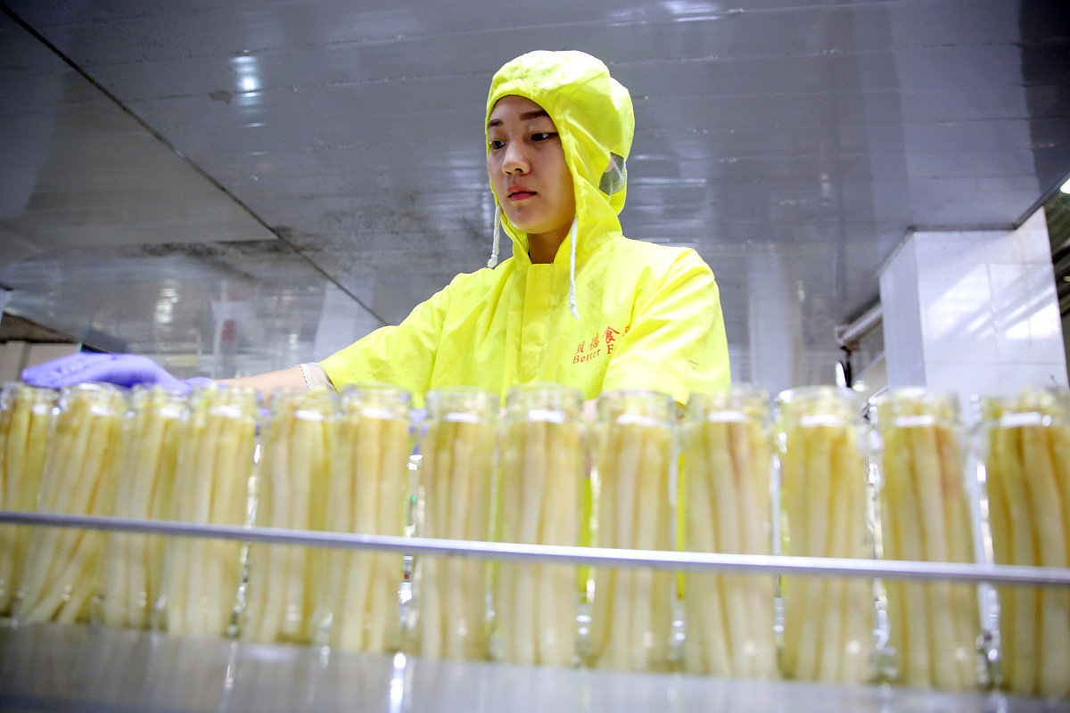 安徽粮食经济技师学院2023年招生专业 - 优势解析